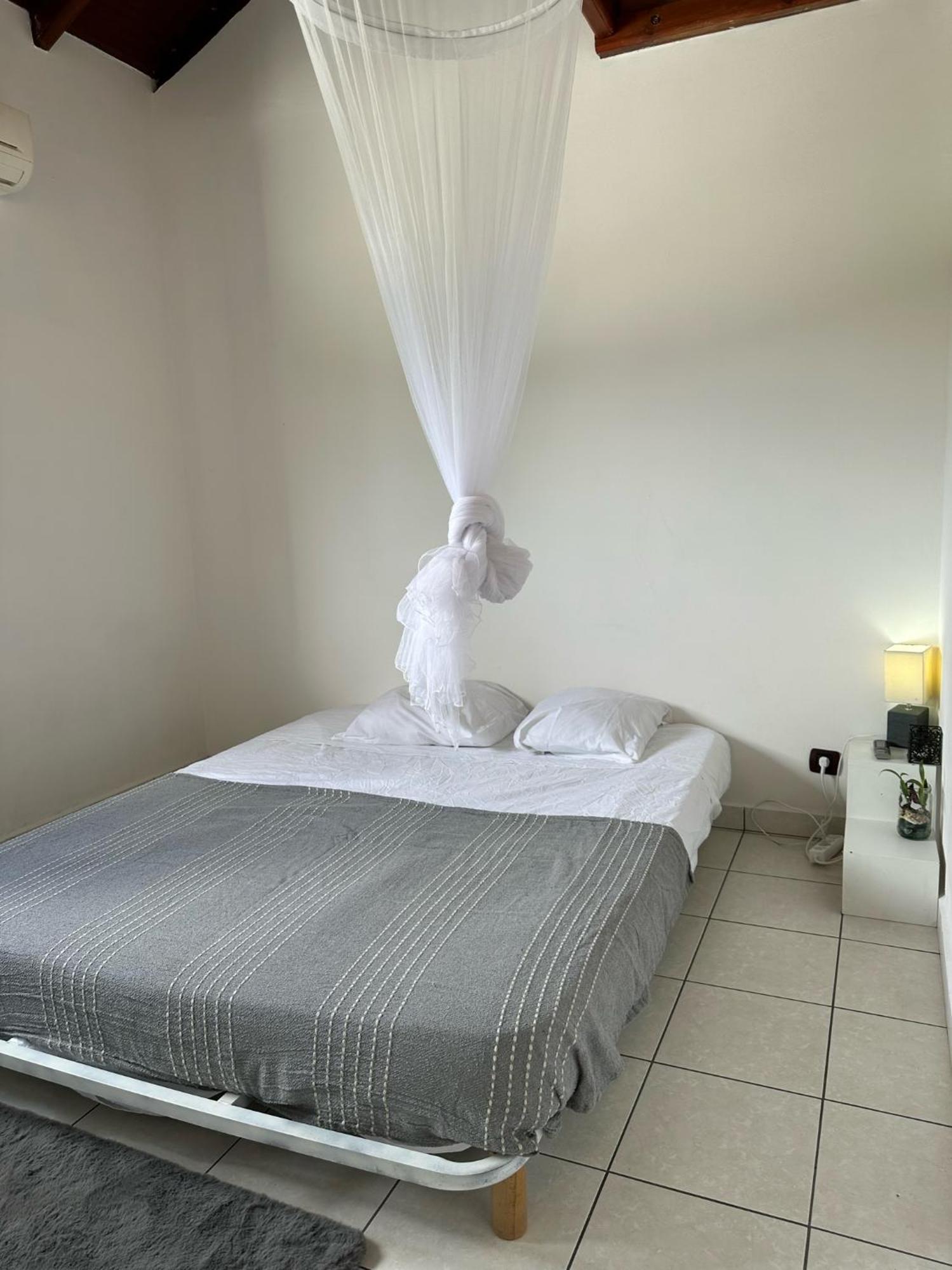 Guadeloupe Guesthouse بورت لويس المظهر الخارجي الصورة