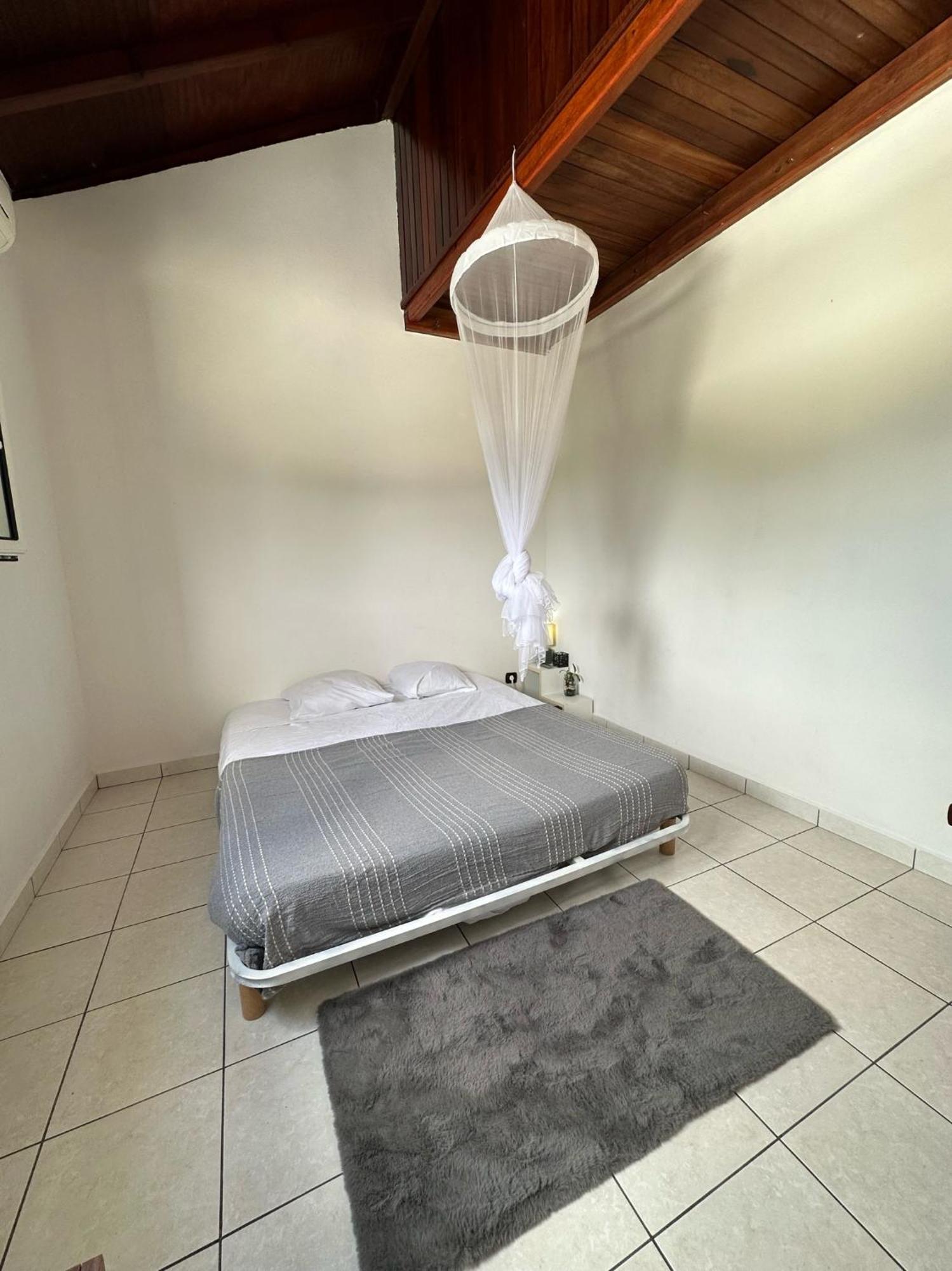 Guadeloupe Guesthouse بورت لويس المظهر الخارجي الصورة